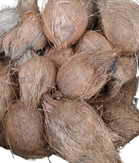 Yam (Large) each - JODAQ FOODS LIMITED | OFFICIAL WEBSITE